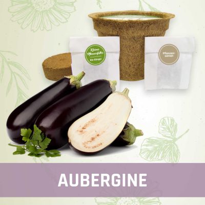 Produktfoto Aubergine Gemüse Kleines Beet