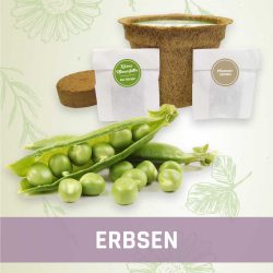 Produktfoto Erbsen Gemüse Kleines Beet