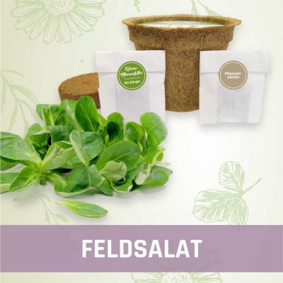 Produktfoto Feldsalat Gemüse Kleines Beet