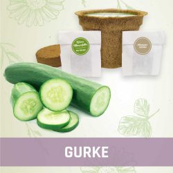 Produktfoto Gurke Gemüse Kleines Beet