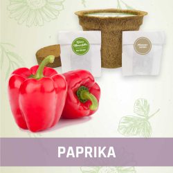 Produktfoto Paprika Gemüse Kleines Beet