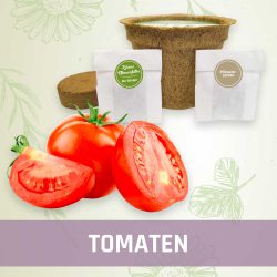 Produktfoto Tomaten Gemüse Kleines Beet