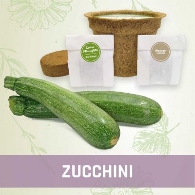 Produktfoto Zucchini Gemüse Kleines Beet