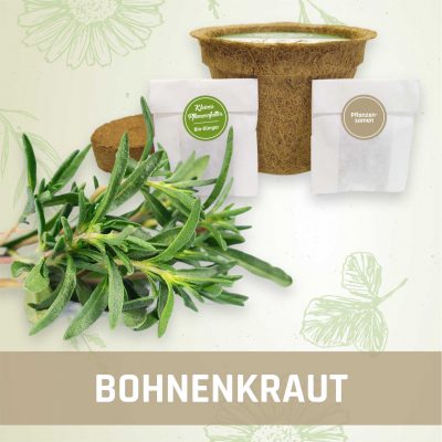 Produktfoto Bohnenkraut Kräuter Kleines Beet
