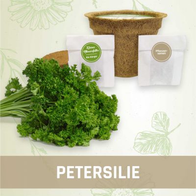 Produktfoto Petersilie Kräuter Kleines Beet