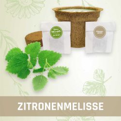 Produktfoto Zitronenmelisse Kräuter Kleines Beet