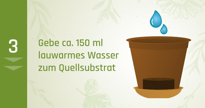 2. Gebe ca. 150 ml lauwarmes Wasser schluckweise zum Quellsubstrat