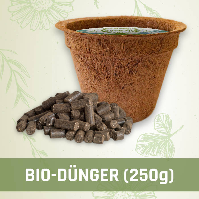 braucht ein olivenbaum dünger FARBIO® Oliven Dünger main image 0