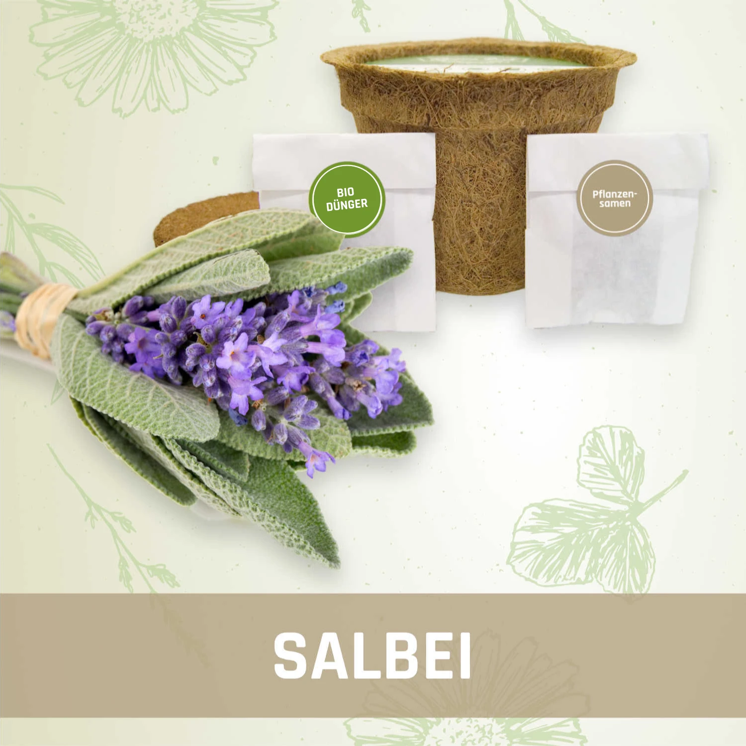 Salbei-Anzuchtset