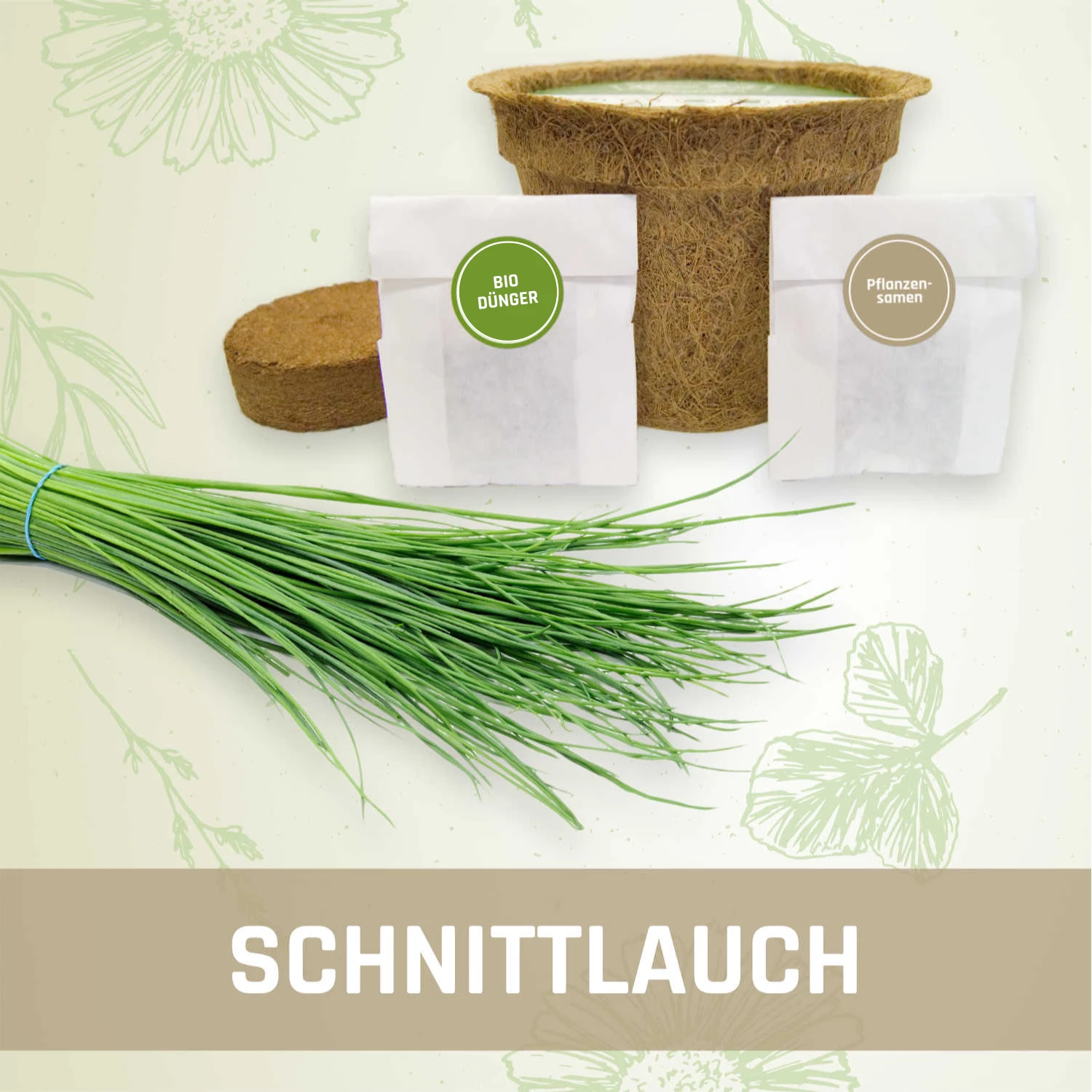 Schnittlauch-Anzuchtset
