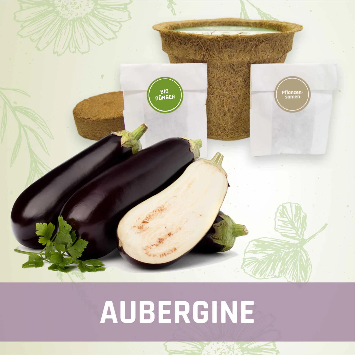Aubergine-Anzuchtset - Kleines Beet Online-Shop