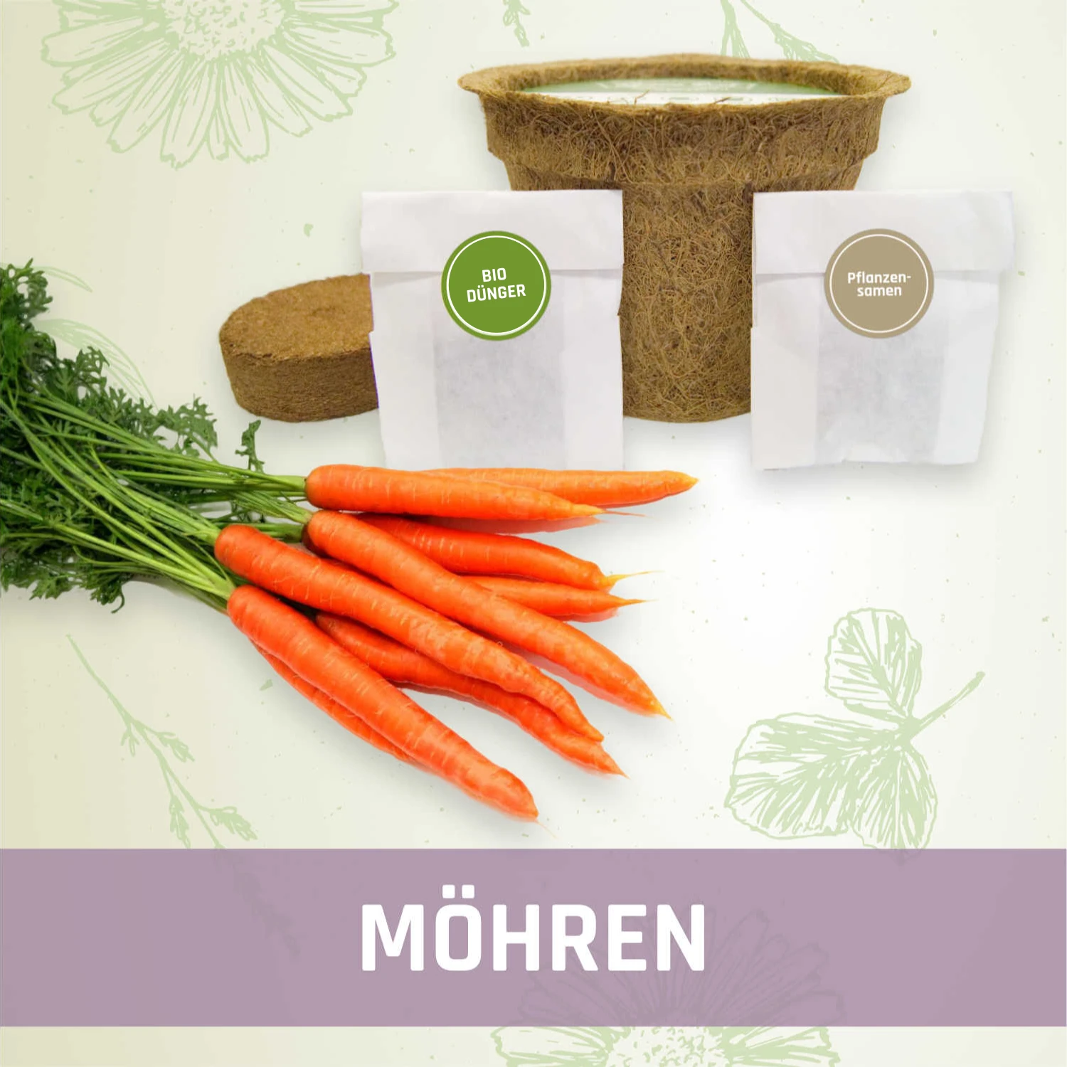 Mhren-Anzuchtset