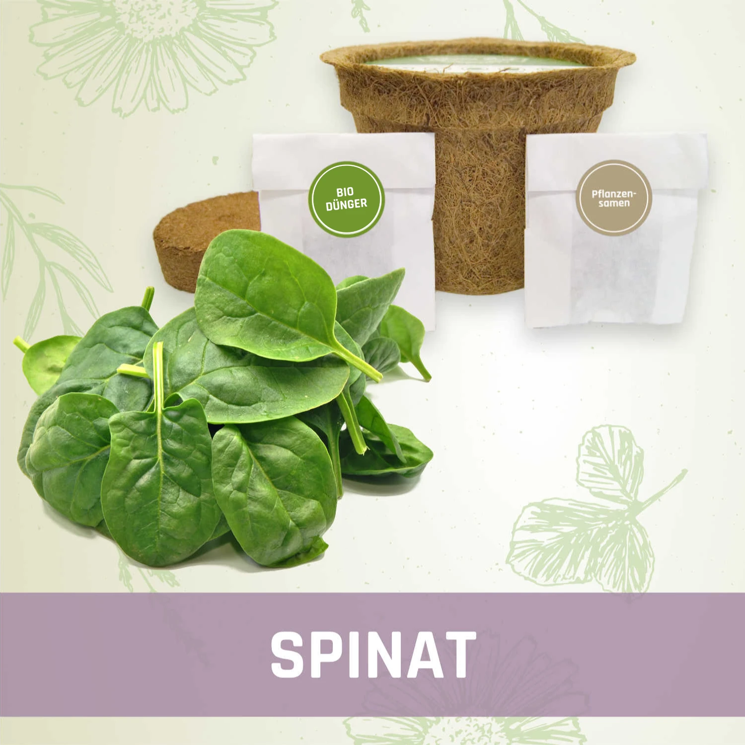 Spinat-Anzuchtset